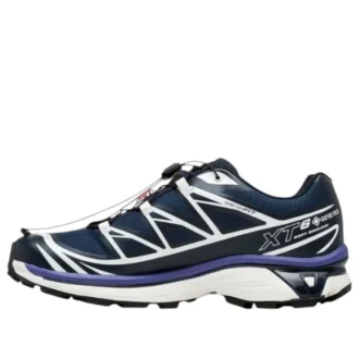 XT-6 Gore-Tex „Carbon Vanilla Ice“
