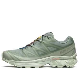 XT-6 Gore-Tex „Desert Sage Lily Pad“
